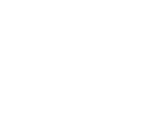Proporcionar a la comunidad educativa estrategias de participación corresponsable, de gestión, de fortalecimiento y de mejora de la calidad educativa, a través de los Consejos Escolares de Participación Social, y de promoción y fomento de los valores universales para contribuir al desarrollo integral de los alumnos.