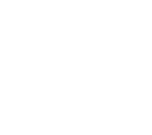 Instancia del Sistema Educativo reconocida a nivel Estatal por su desempeño profesional con un alto sentido de la vivencia de los valores para el fortalecimiento de una organización y autogestión saludable en el logro del desarrollo integral de las comunidades educativas. 