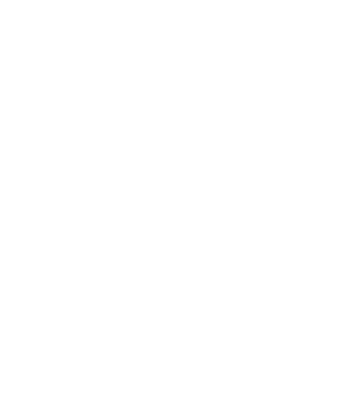 Fortalecer una educación participativa en donde cada uno de los agentes educativos (padres, docentes y alumnos) asuman su responsabilidad contribuyendo en el desarrollo integral del alumno a través de estrategias didácticas que favorezcan la participación social, fortaleciendo los planes y programas de educación básica en las áreas de valores y formación cívica para lograr la mejora de la calidad educativa.
